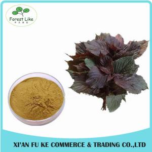 Food Grade Chinese Traditional Herbal Perilla Frutescens Leaf Extract