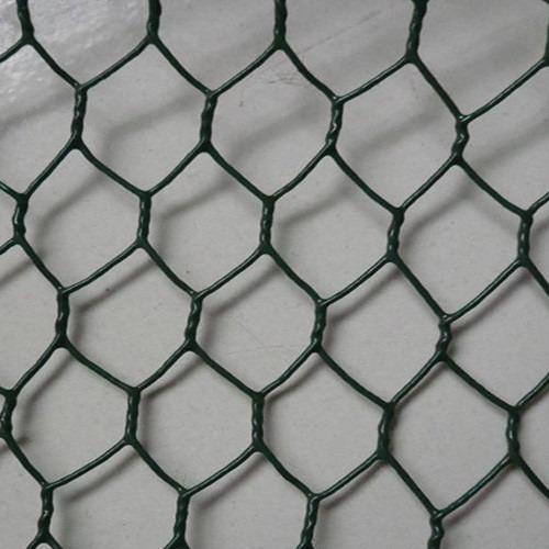 Revestido o galvanizado en PVC, malla hexagonal de alambre de pollo para aves de corral