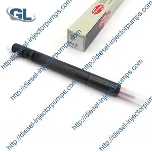 China Delphi Diesel Common Rail Injector EJBR04401D R04401D pour SSANGYONG A6650170221 supplier