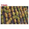 Automatic Fruit And Vegetable Processing Line Palletizer Machine For Mango Juice