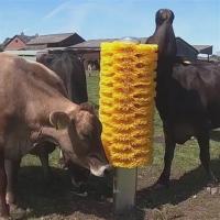 China Animal Body Cleaning Machine Cow Body Brush on sale