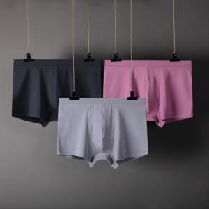 L-6XL Plus Size Male Underwear Cotton High Elasticity Modal Men Underwear