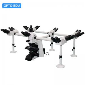 China Rohs OPTO EDU A17.1091 Manual Microscope Research Laboratory 10 People wholesale