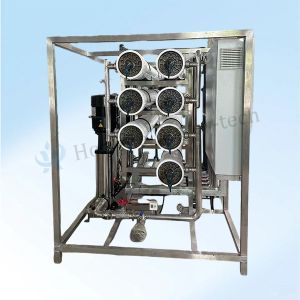 China 2T/H 超純水浄化システム EDI テクノロジー wholesale