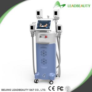 China The Hottest Criolipolisys Fat Freezing Machine supplier