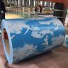 China DX51D RAL9010 9030 0.12 TO 4.0mm PPGI PPGL Prepainted Galvanized Steel Coil with Custom Colors and Length customized wholesale
