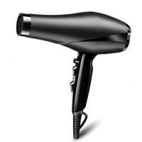 China 220VAC Infrared Ionic Hair Dryer ,  2200 Watt Hair Dryer With Customized Logo on sale