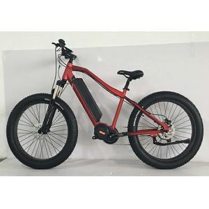 China 1000w Aluminum Fat Tire Custom Electric Bike Disc Brake With Lithium Battery supplier