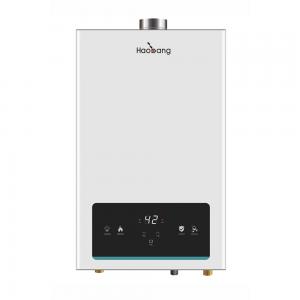 220V 10L 16KW Constant Temperature Gas Water Heater White Homeland
