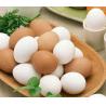 China Automatic Food Processing Machineries 150KG/H For Egg Peeler wholesale