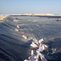 China 2m-8m Width HDPE Dam Liners 1mm Geomembrane Liner for Aquaculture Fish Farm Sale on sale