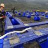 China Customizable Floating Pontoon for Deep Sea Application Fish Cage for Tilapia Farming wholesale