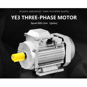 China High Efficiency AC IE3 Motor, Energy Efficient Induction Motor Cast Iron Body supplier