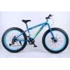 Steel Frame 21 Speed 26 Inch Electric Fat Bike