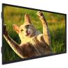 China Factory price IBoard 65 Inch Interactive Flat Panel with Infrared Touch Screen and 3G Ram wholesale