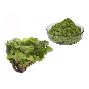 Juice Kale Extract Powder