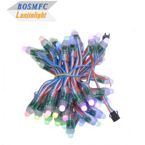 China IP68 resistente al agua WS2811 LED Pixel Module String Light Digital LED Pixel DC5V Multicolor Led String Lights supplier