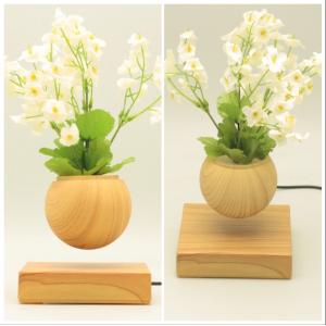 China new 360 spining wooden magnetic levitate floating air bonsai tree for decor gift supplier