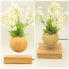 China new 360 spining wooden magnetic levitate floating air bonsai tree for decor gift wholesale