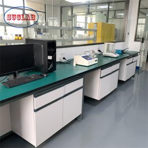 China High Durability Chemistry Lab Workbench Laboratory Workstation For Efficient Testing supplier