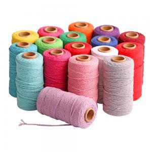 China 100% Cotton Mutilcolor 2mm Twisted Natural Macrame Rope for Multipurpose Applications supplier