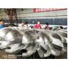 China Stainless Steel Hydro Turbine Runner with 1-100 MW Rated Power and Customized Blade Width for Renewable Energy Projects wholesale