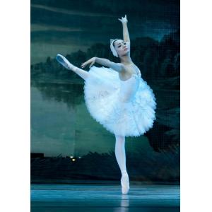 The new 2016 adult ballet TUTU dress adult costumes professional ballet swan lake show
