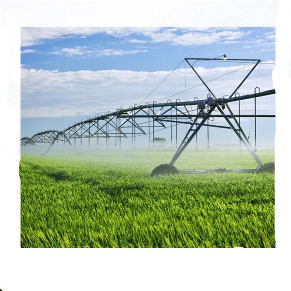 160 Inch Diameter Center Pivot and Lateral Linear Move Irrigation System for Improved Farming Efficiency in Agriculture