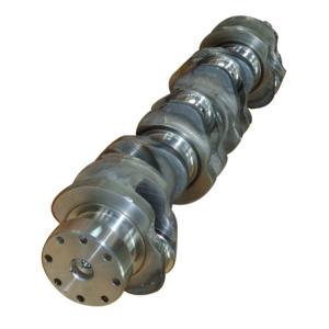 China 881mm Length Diesel Engine Crankshaft Automotive Engine Parts W06D Billet Crankshaft Stroke X3310211 supplier