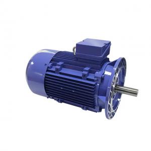 China Electric Ac Squirrel Cage Motor Induction Machine Squirrel Cage supplier