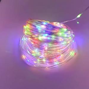 New LED Strip Lights Garden Holiday Decor Waterproof Outdoor Light String 20M 50M 100M Street Garland With 24V Power Transformer