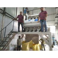 China Canary Bean Color Sorter Machine  Automatic Bean Color Sorter on sale