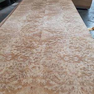 8 Inches Exotic Hardwood Veneer, wood veneers, wood veneer burl