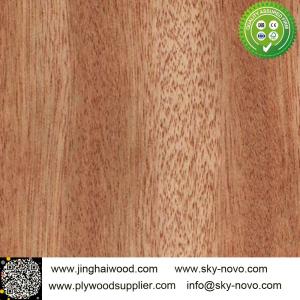 China Bintangor,oak,maple natrual veneer supplier