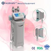 China Christmas Promotion! China Factory Hot Sales Best Cryolipolysis Fat Freezing Body Fat Removal Machine on sale