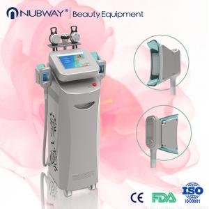 Christmas Promotion! China Factory Hot Sales Best Cryolipolysis Fat Freezing Body Fat Removal Machine