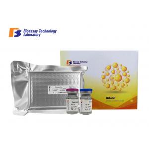 China ISO Certificate Mouse ELISA Kit 96 Wells Custom Available With Serum Sample supplier