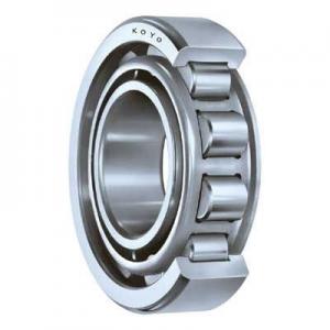 China N210 Stainless Steel Cage Single Row Roller Bearing Textile Machine supplier