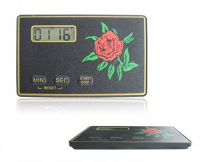 China Contador de tiempo fino estupendo SW-0307 con cuenta encima de la función, el imán en la parte posterior wholesale