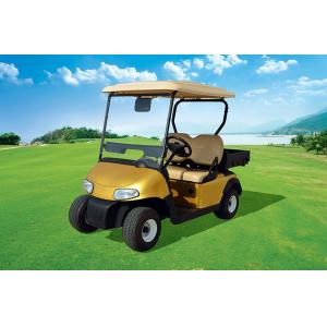 New Design 2 Seats Electric Utility Golf Cart With Rear Plastic Cargo Box