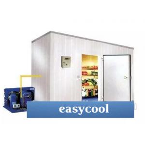Customized Size And Materials Insulated Panel Ice Storage Cold Room For Food Or Industrial Storage