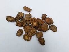 China Extrato da artrite e da osteoporose TCM, extrato da raiz da raiz de Cynanchi Wilfordii, extrato Glabrous do rizoma, raiz do Dipsacus on sale