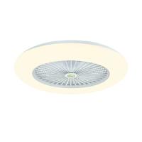 China Dimming Hanging Ceiling Fan With Light 42in Bladeless Fan Ceiling on sale