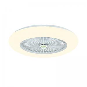 China Dimming Hanging Ceiling Fan With Light 42in Bladeless Fan Ceiling supplier