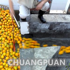 China Stainless Steel Orange Juice Production Line 50Hz Orange Juice Extraction Machine supplier