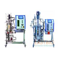 China Automatic Control In Situ Sterilizable Fermenter Adjustable Speed AC Motor With Gear Box on sale