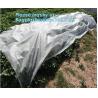 China pp material woven fabric in tubular roll with black colour for agricultural mulch film, Biodegradable pp spunbond nonwov wholesale