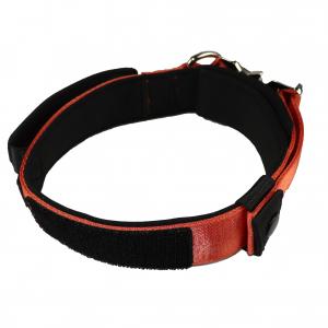 China 30 28 Inch Custom Dog Collars For Large Dogs Xl  Xs Xxs Nylon Custom Pet Collar Metal Buckle supplier