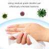 Portable Disinfection Wipes / Alcohol Free Cleaning Wipes Non Toxic Wipes