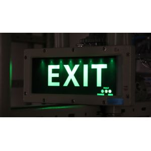 Customizable 3W Anti-Explosion Emergency Exit Sign LED Light Source for Chemical Plants & Mining Operations
